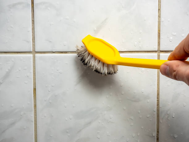 Best Water Damage Restoration  in Presque Isle, ME